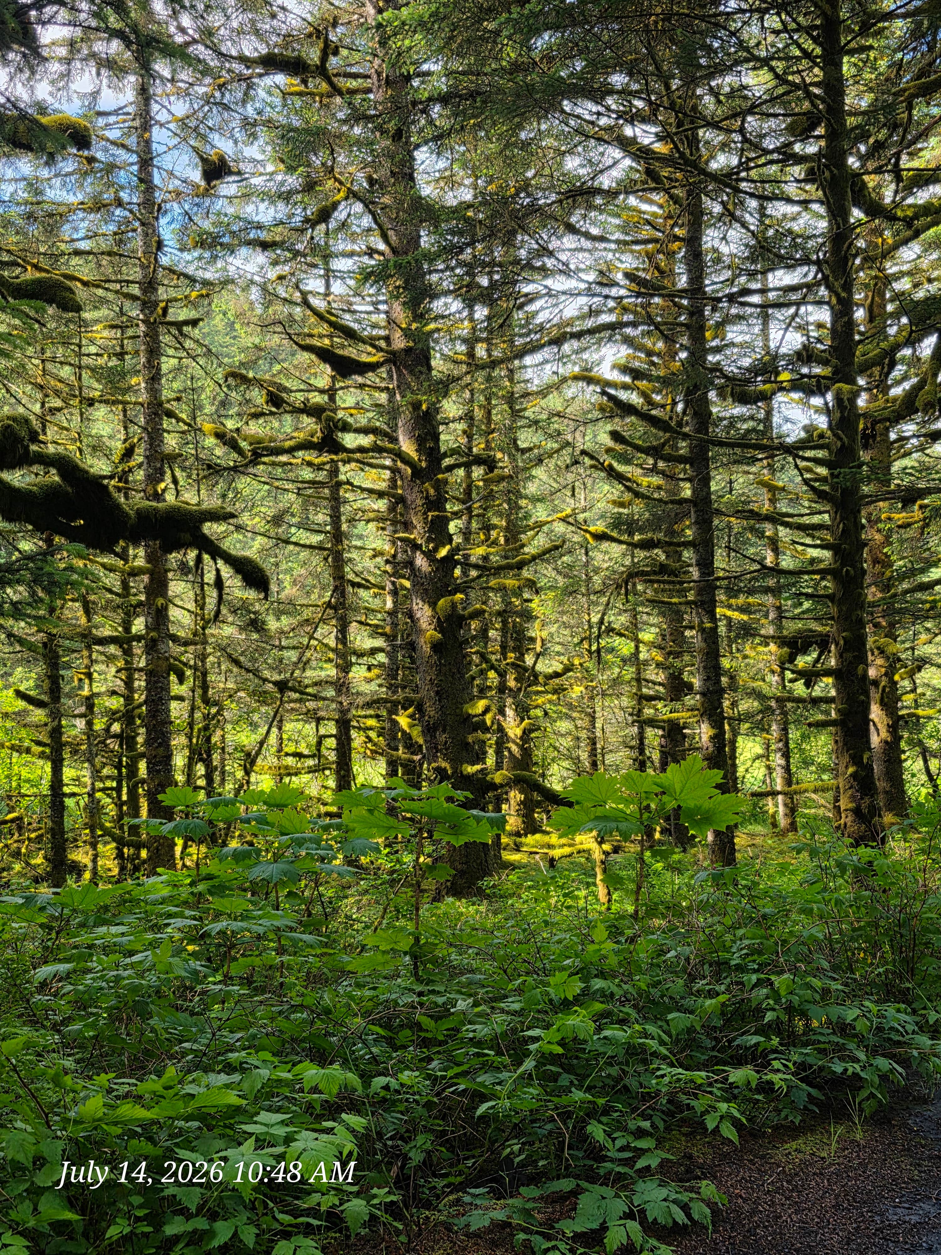 Camper-submitted photo at Fort Abercrombie State Park Campground near Kodiak, AK