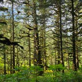 Review photo of Fort Abercrombie State Park Campground by Karl W., July 17, 2026