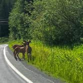 Review photo of Fort Abercrombie State Park Campground by Karl W., July 17, 2026