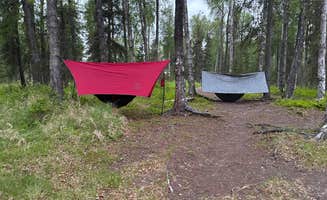 Valerie K.'s photo at Johnson Lake State Recreation Area Campground near Halibut Cove, AK