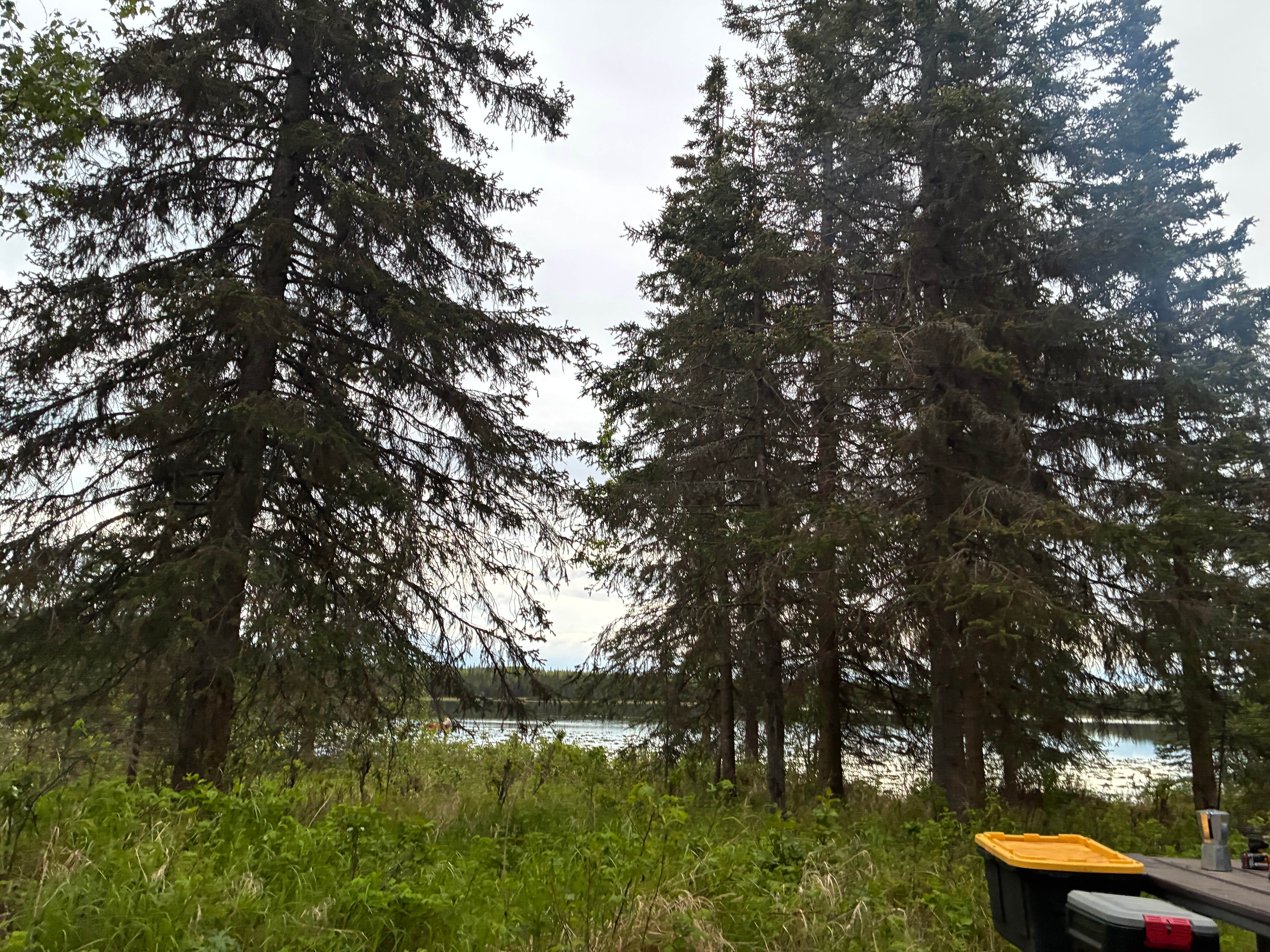 Camper-submitted photo at Johnson Lake State Recreation Area Campground near Kenai National Wildlife Refuge