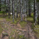 Review photo of Mendenhall Lake Campground by Angie G., May 27, 2024