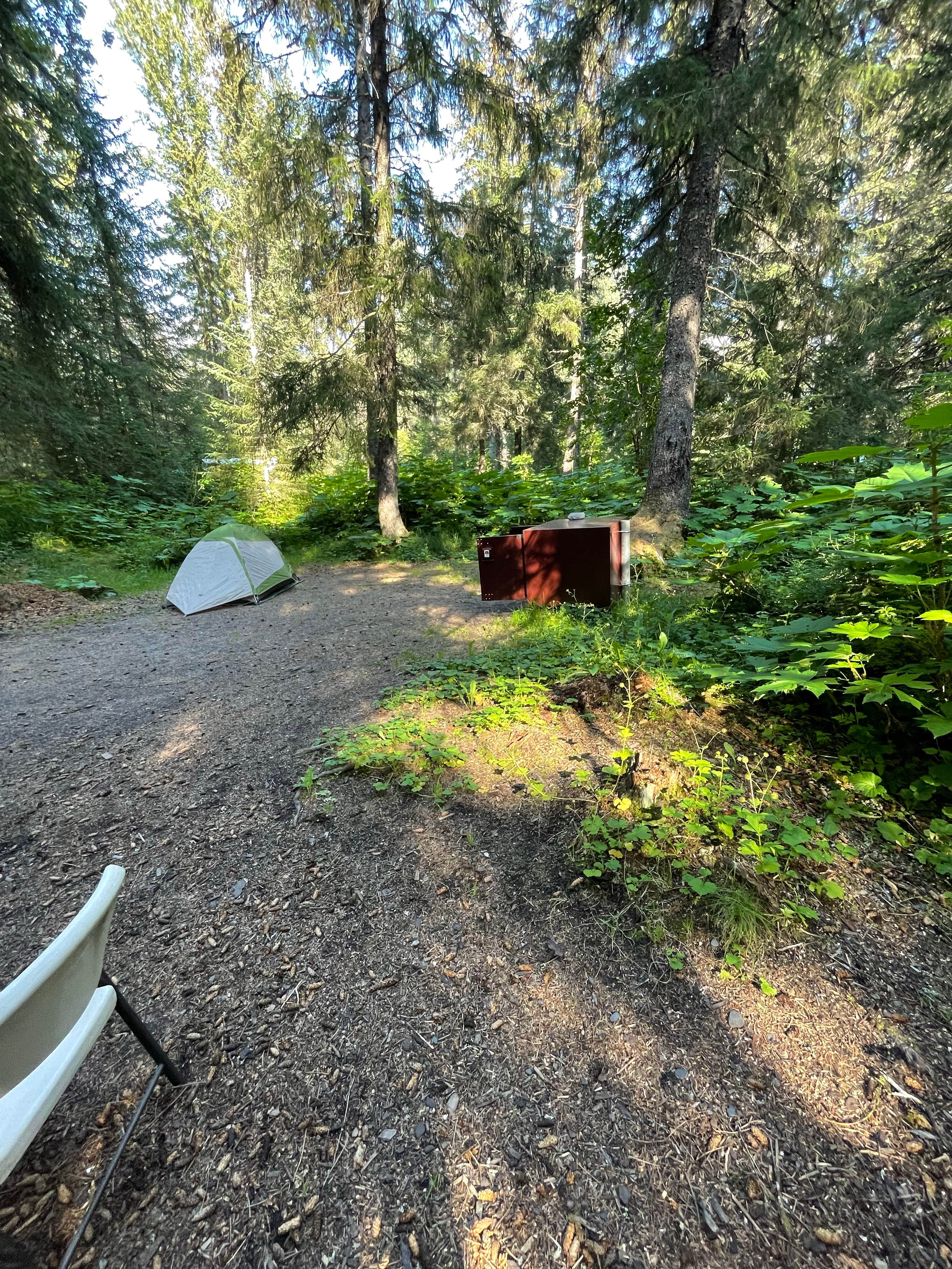 Truman S.'s photo at Primrose Trailhead near Seward, AK