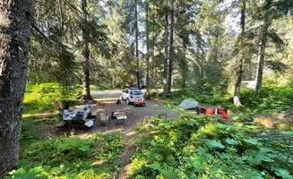 Truman S.'s photo of camping with pets at Primrose Trailhead near Kenai Fjords National Park