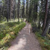 Review photo of Riley Creek Campground — Denali National Park by Jesse P., July 7, 2026