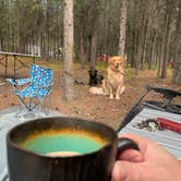 Review photo of Riley Creek Campground — Denali National Park by Wes F., May 28, 2024