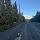 Review photo of Teklanika River Campground — Denali National Park by JR UW L., June 19, 2026