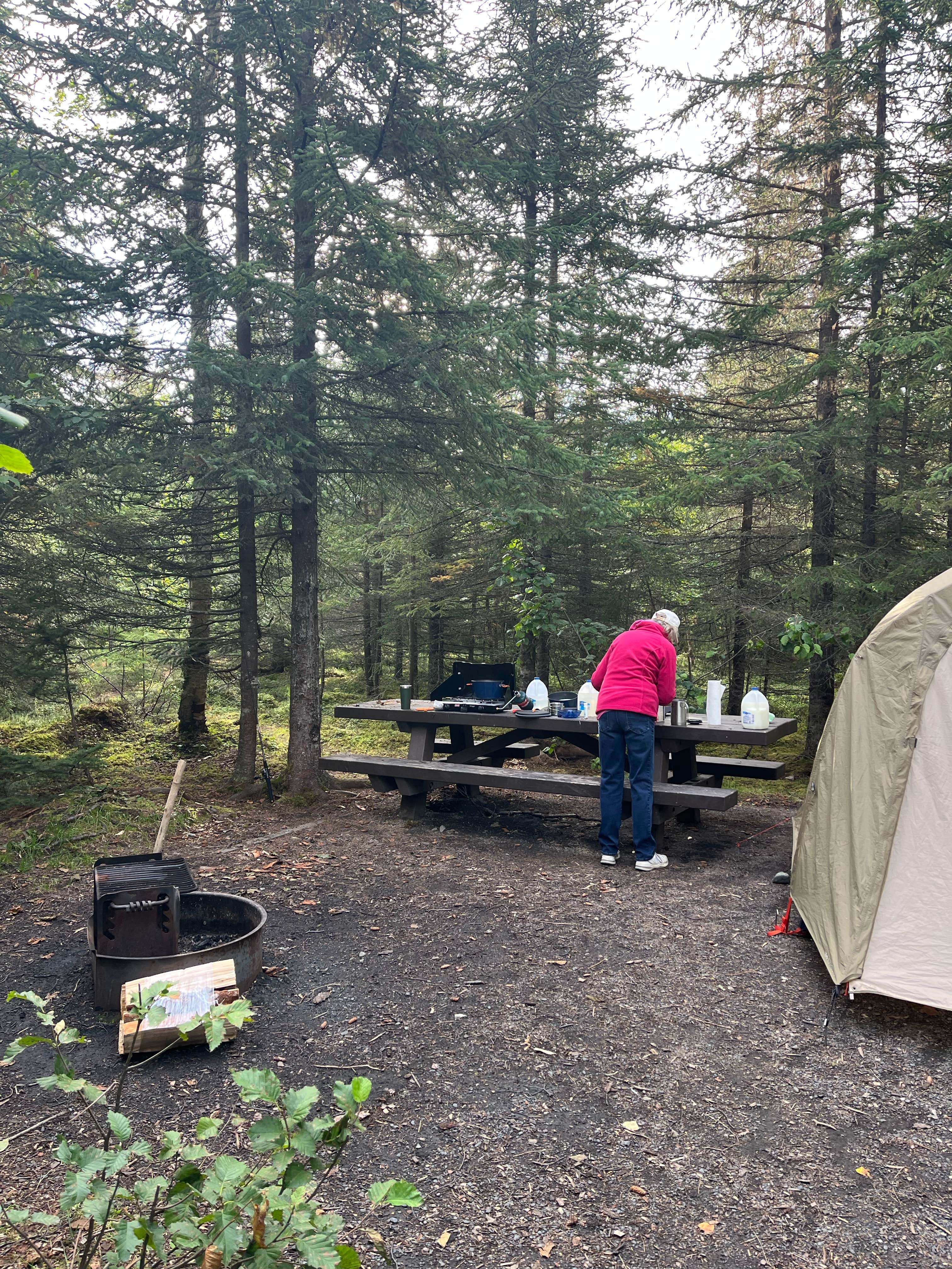 Richard R.'s photo at Trail River near Seward, AK