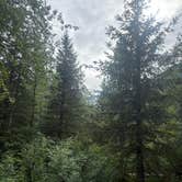 Review photo of Williwaw Campground by Marcus H., August 8, 2026