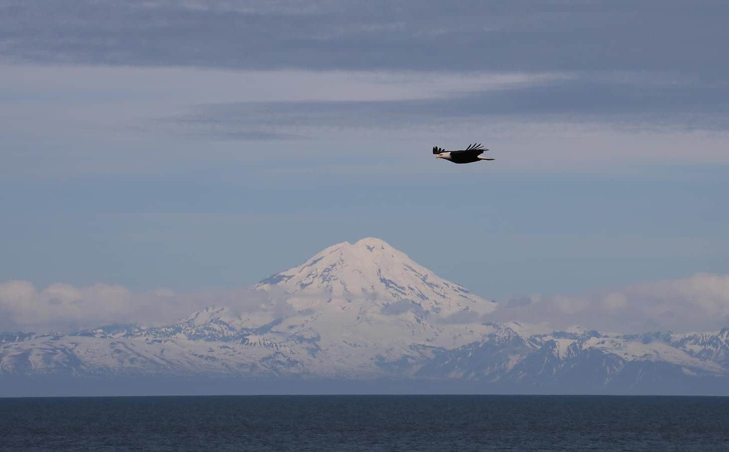 Camper submitted image from Alaskan Angler RV Resort - 2