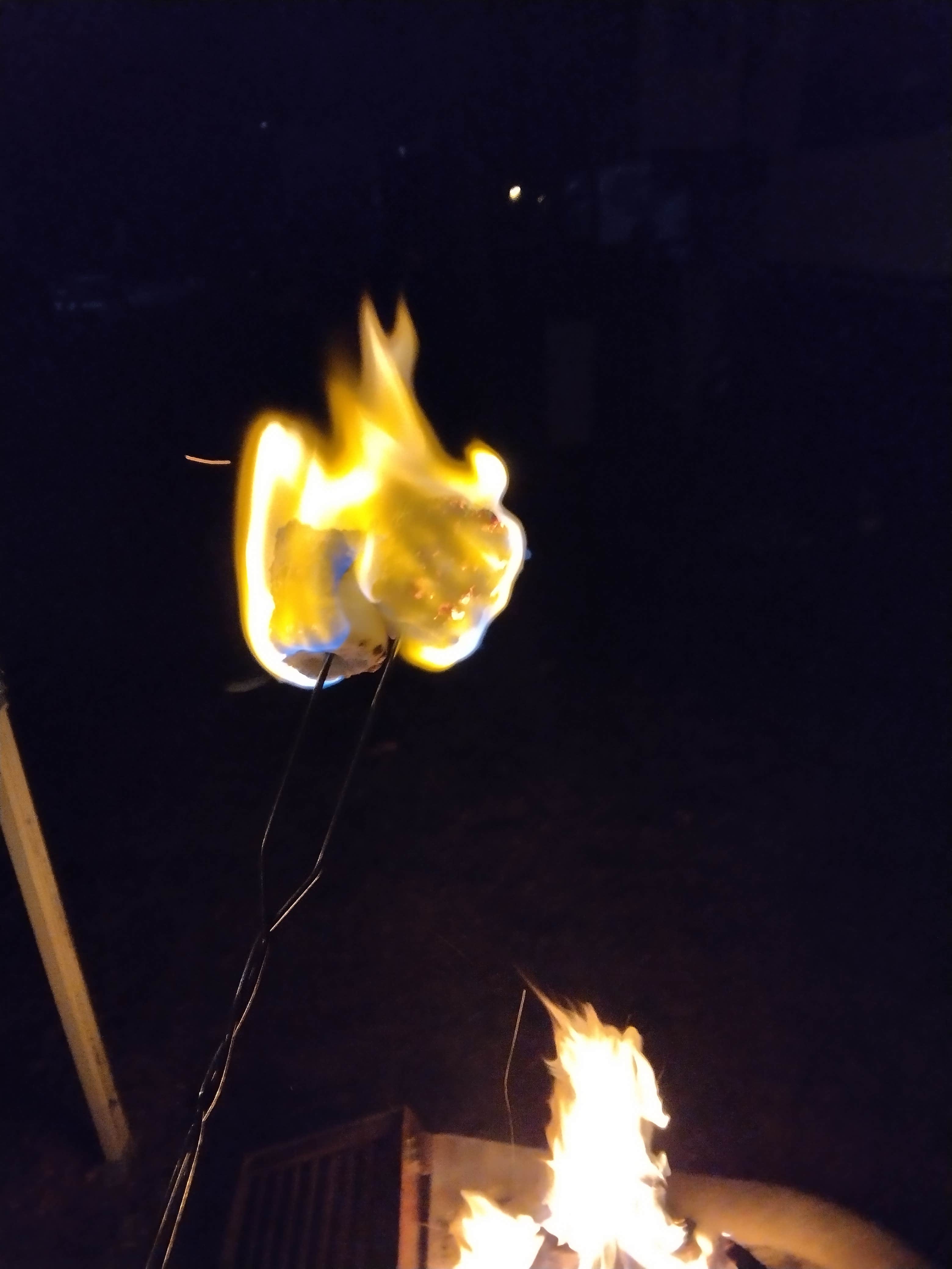 Camper-submitted photo at Albany-Corvallis KOA near Foster, OR