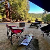Review photo of Albee Creek Campground — Humboldt Redwoods State Park by marcus K., July 24, 2025