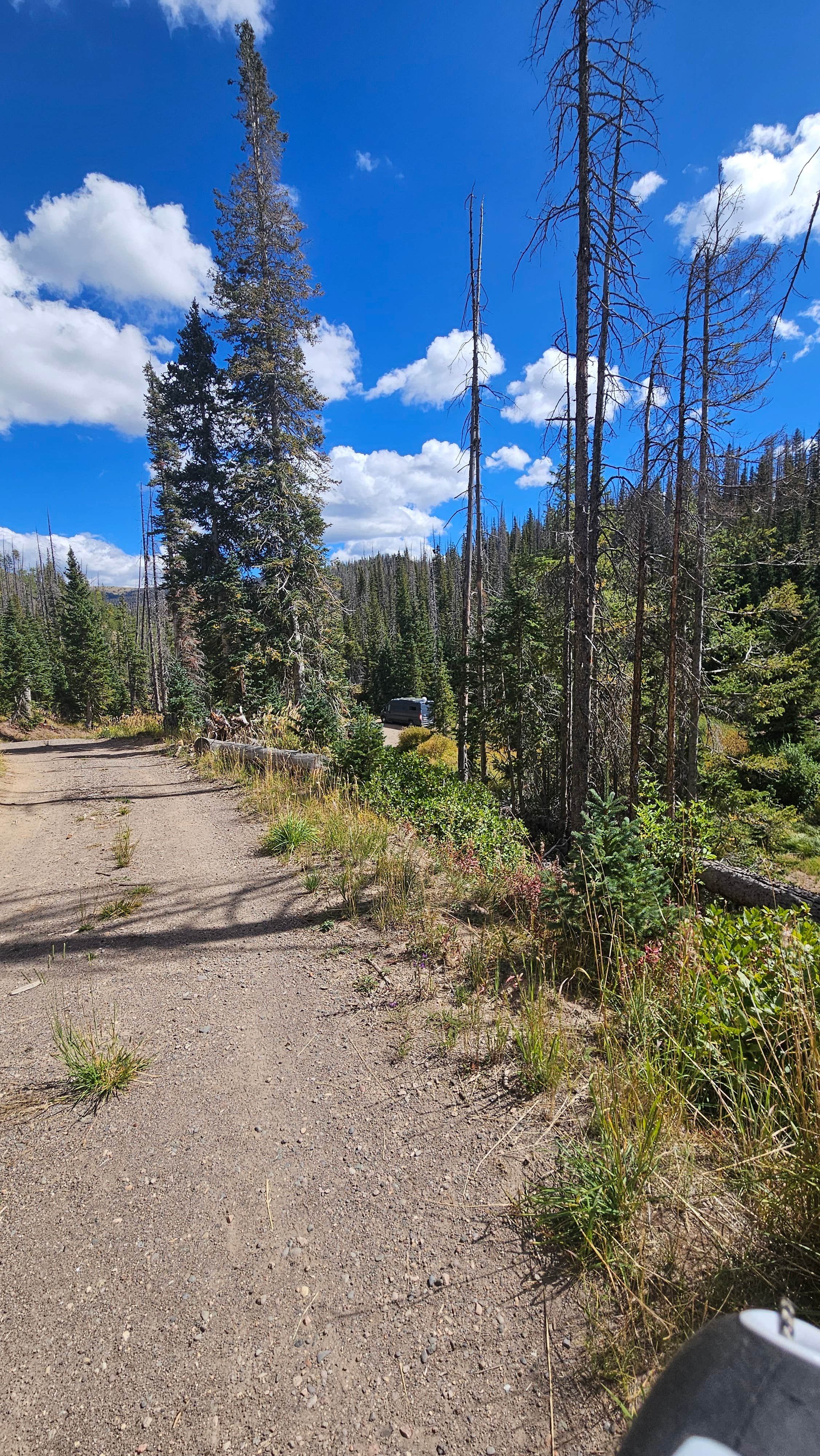 Stephen M.'s photo of a dispersed camping area at Alberta Park Reservoir near Pagosa Springs, CO
