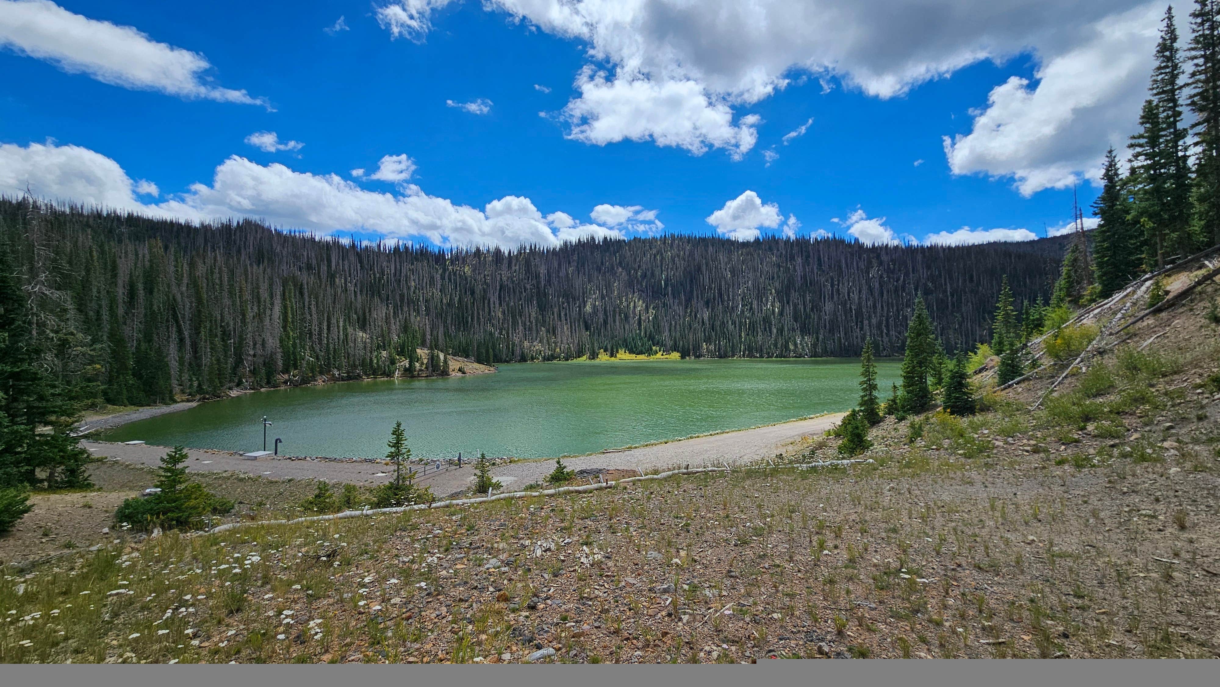 Camper-submitted photo at Alberta Park Reservoir near Rio Grande National Forest