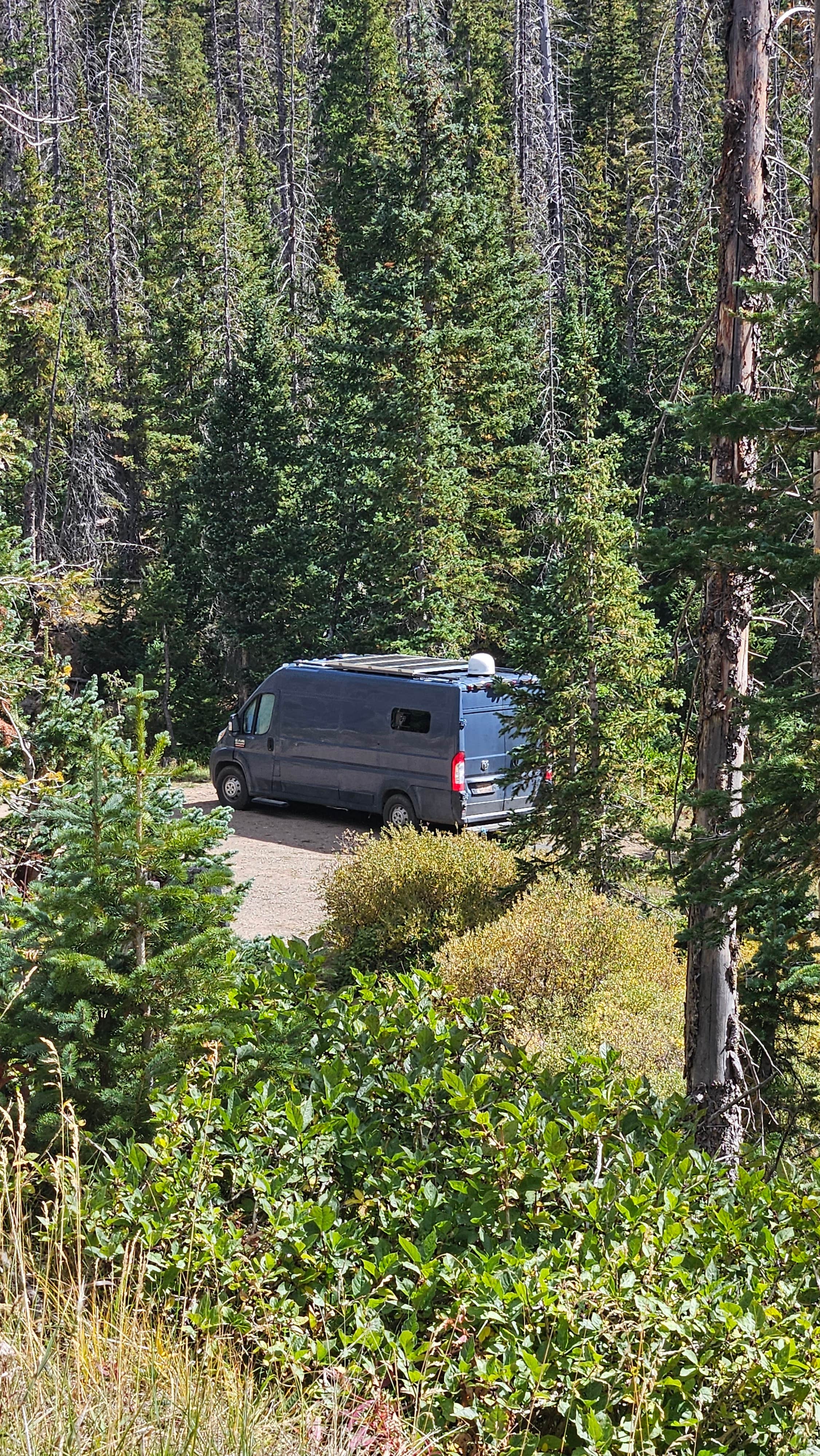 Camping near South Fork Overlook: Alberta Park Reservoir, Rio Grande National Forest, Colorado