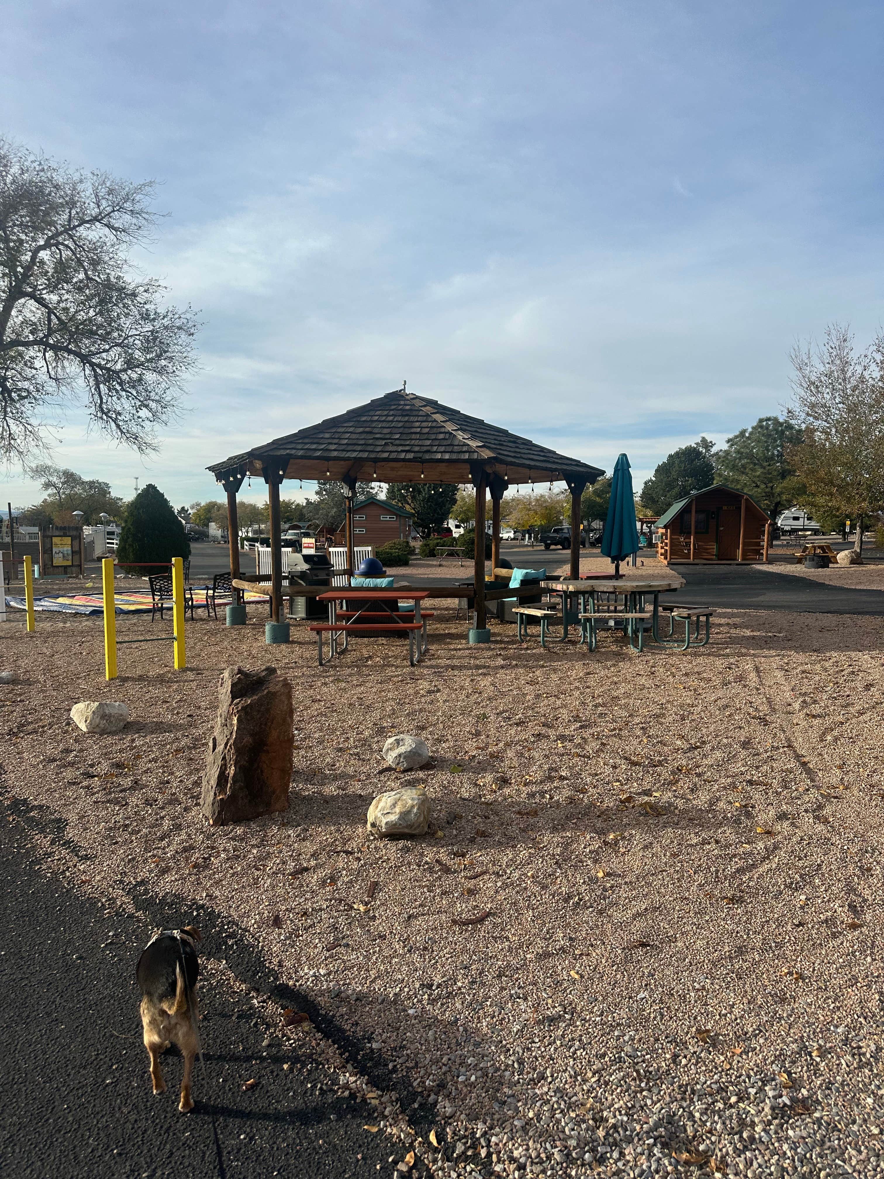 Alisa P.'s photo of camping with pets at Albuquerque KOA Journey near Tijeras, NM