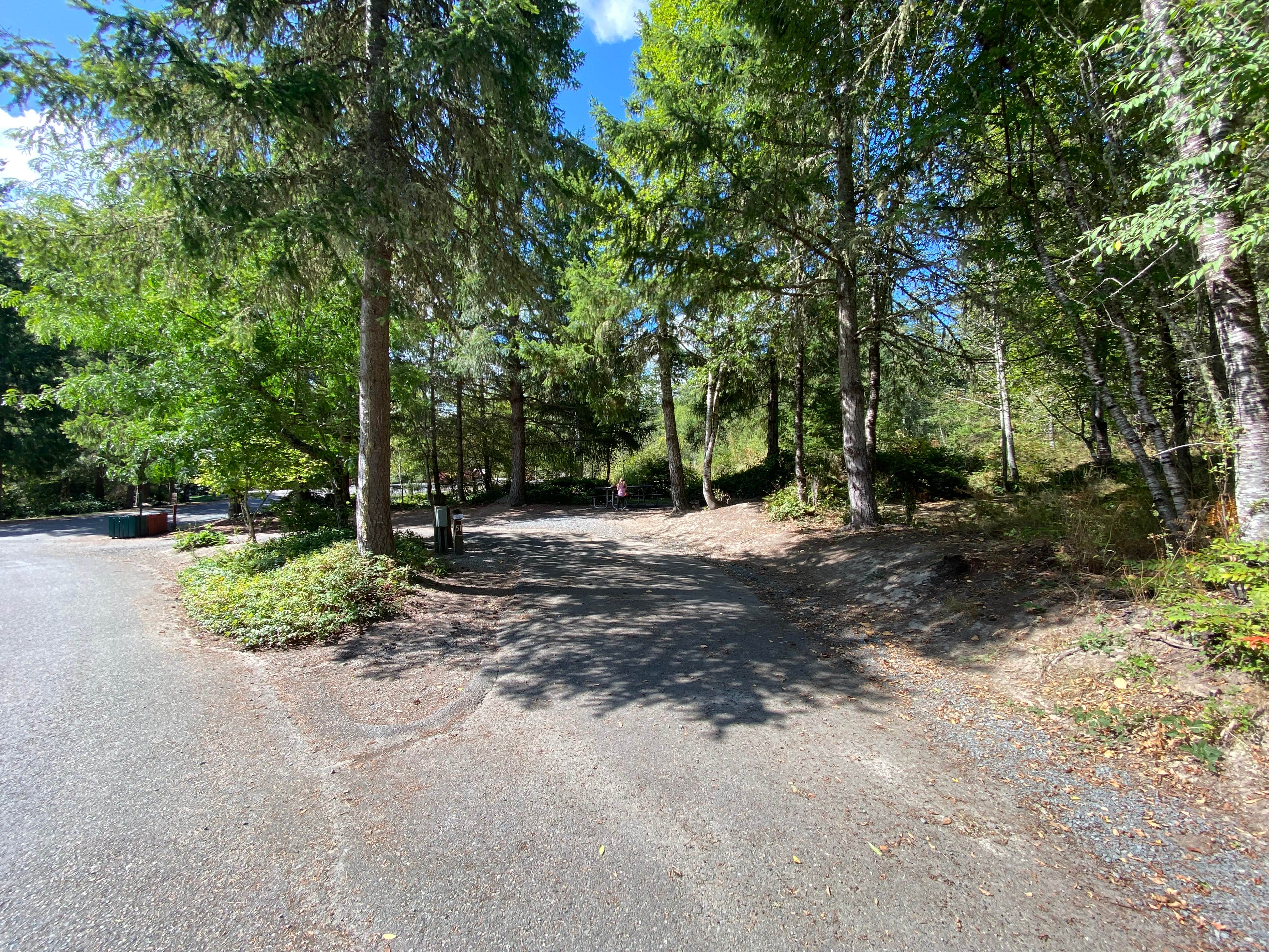 Camper-submitted photo at Alder Lake Campground near Elbe, WA