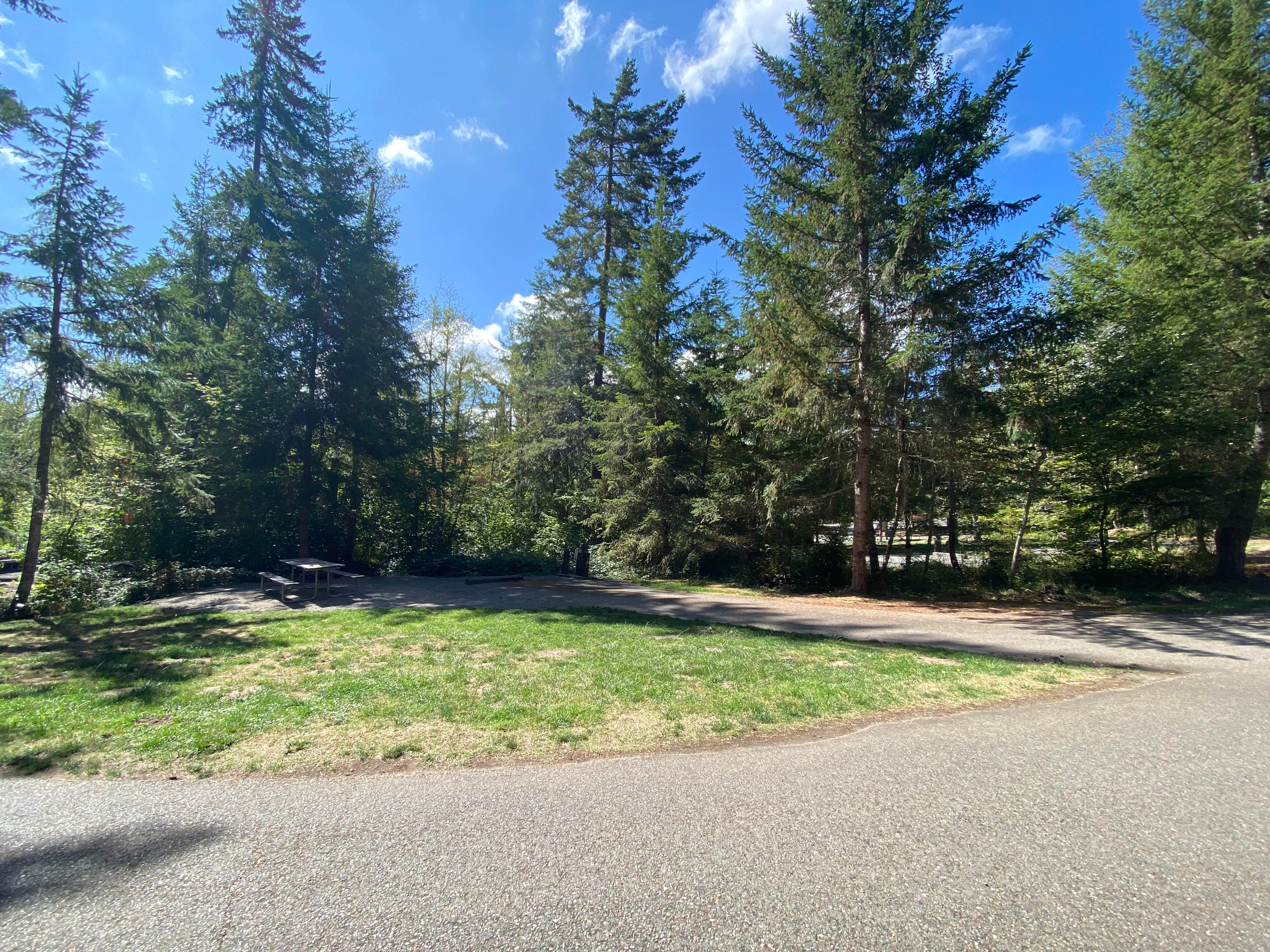 Camper submitted image from Alder Lake Campground - 5