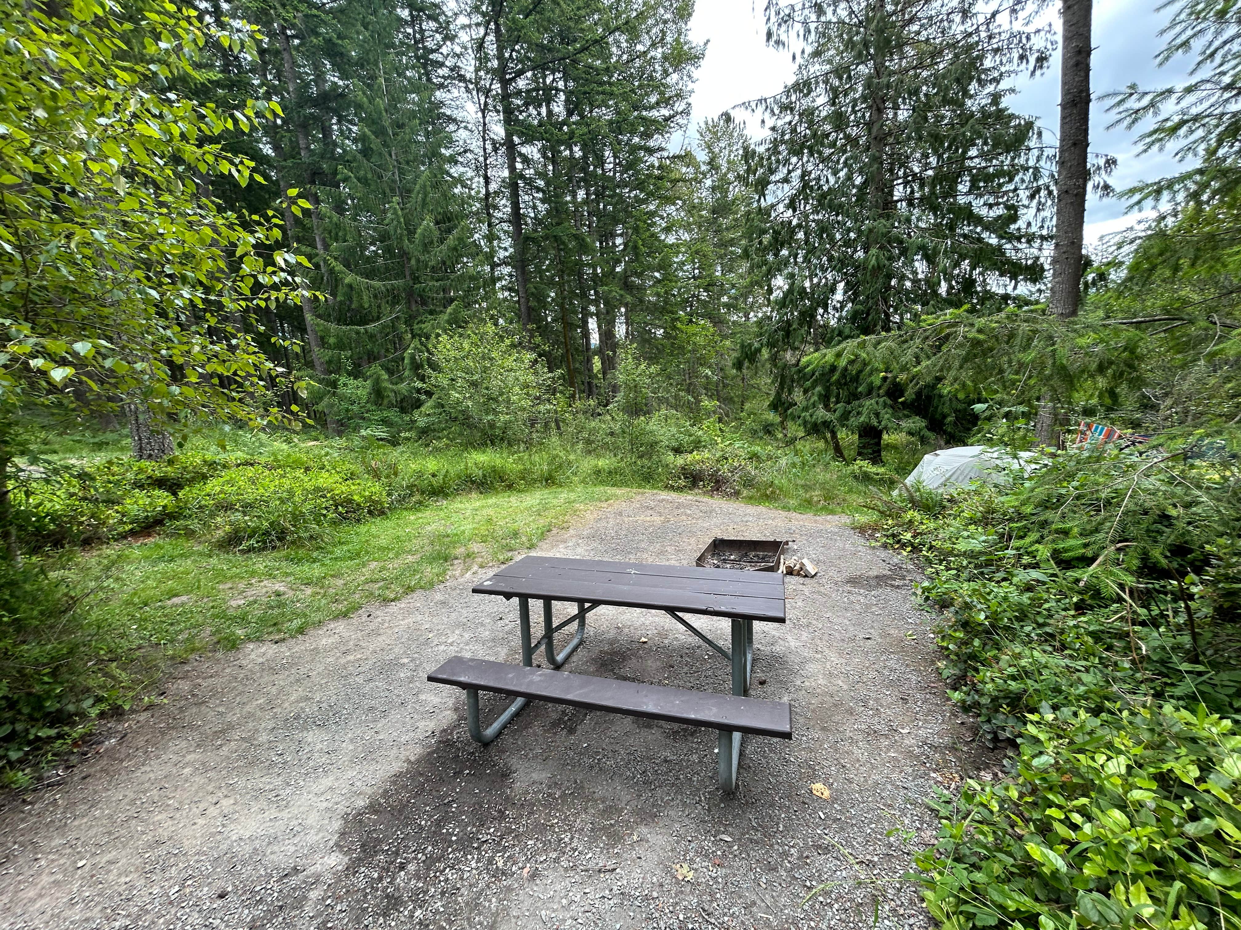 Camper-submitted photo at Alder Lake Campground near Elbe, WA