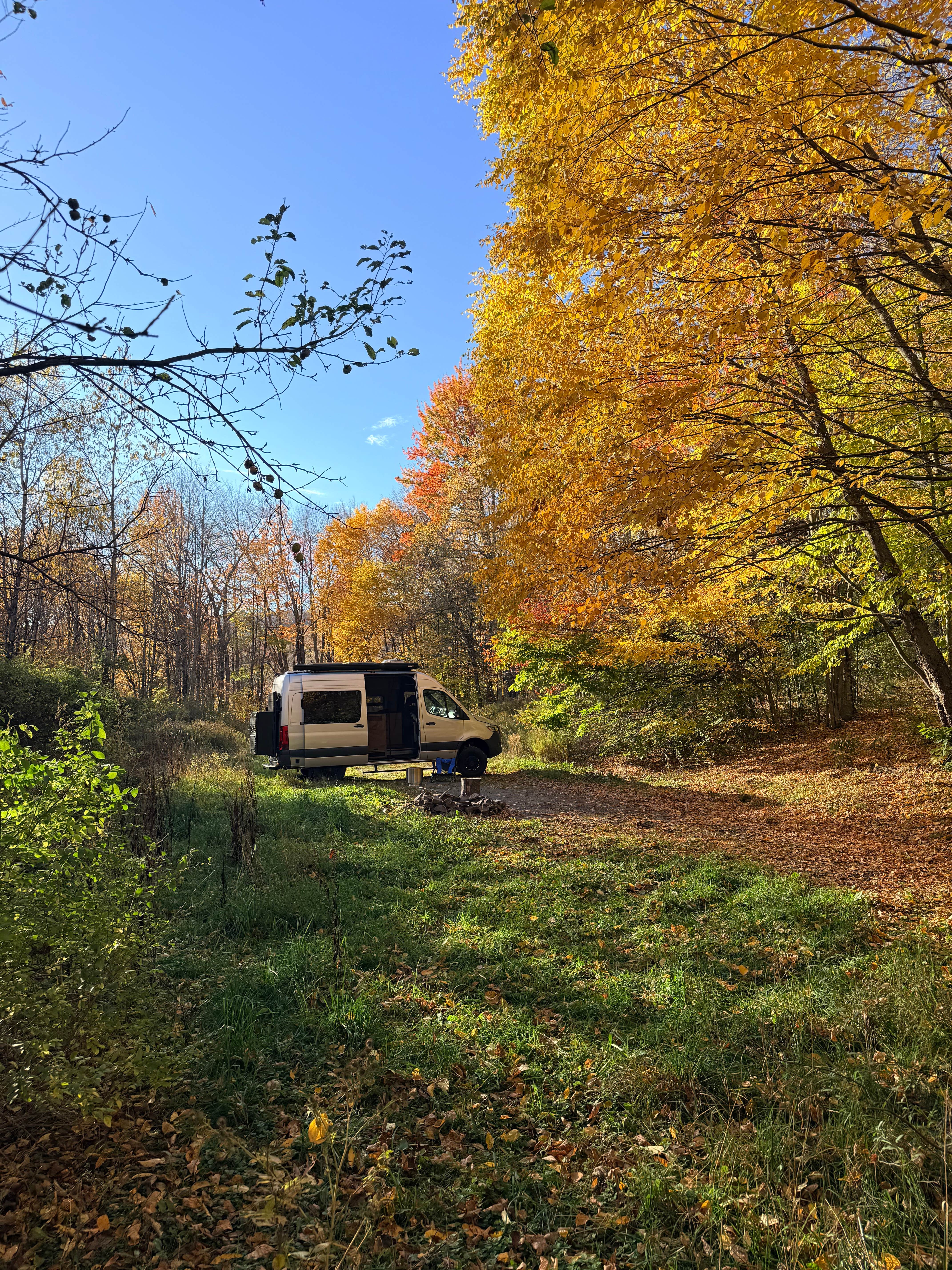 Camper-submitted photo at Alder lake near Fultonham, NY