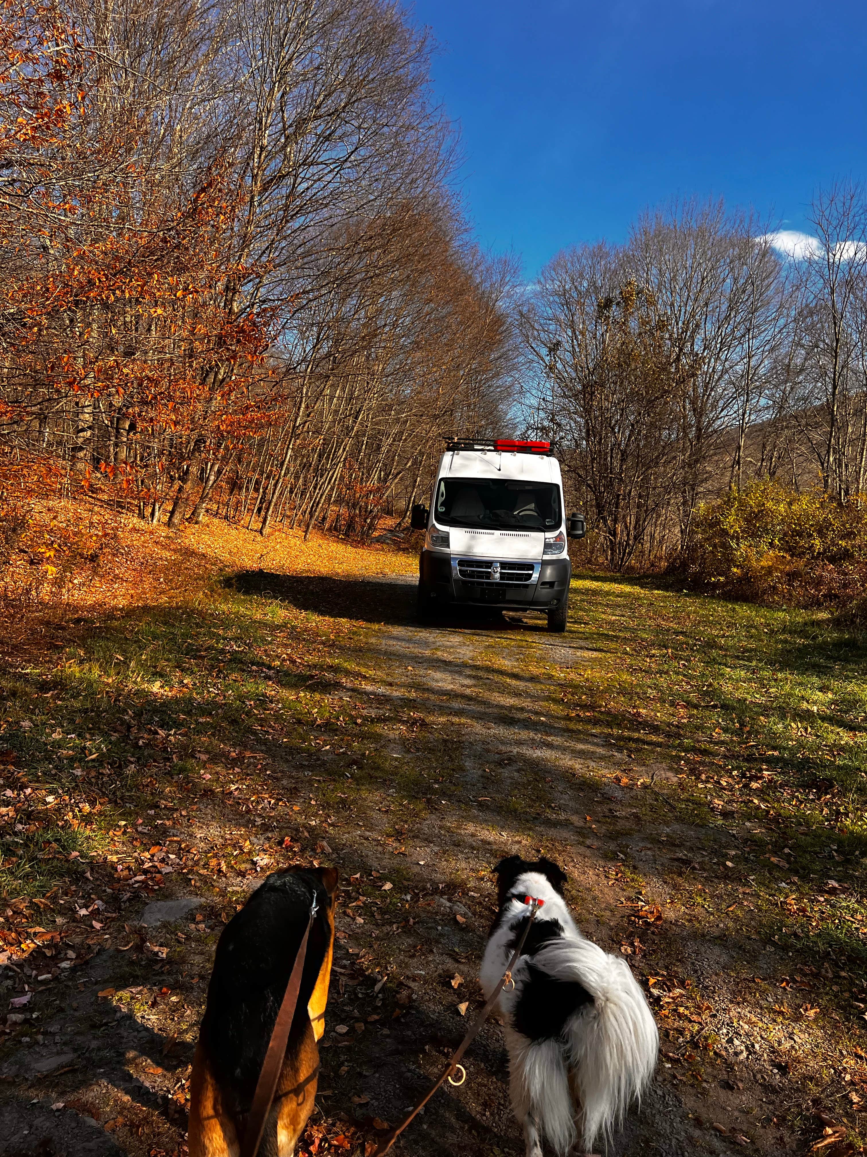 Camper-submitted photo at Alder lake near Bloomville, NY