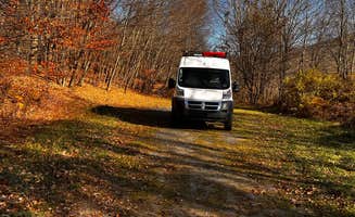 SJ W.'s photo of camping with pets at Alder lake near Roxbury, NY