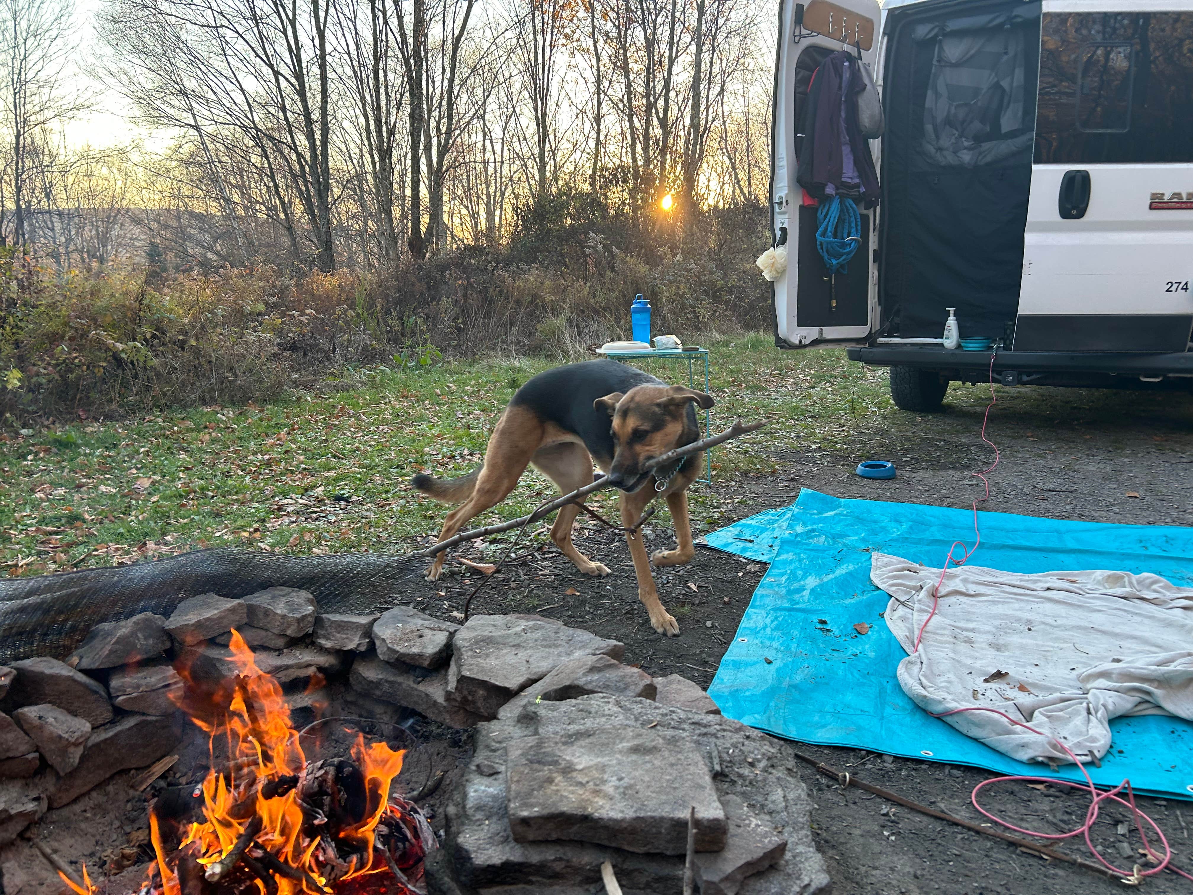 Camper-submitted photo at Alder lake near Bloomville, NY