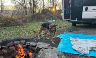 SJ W.'s photo at Alder lake near Arkville, NY