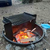 Review photo of Alder Springs — Willamette National Forest by Rachel M., August 15, 2026