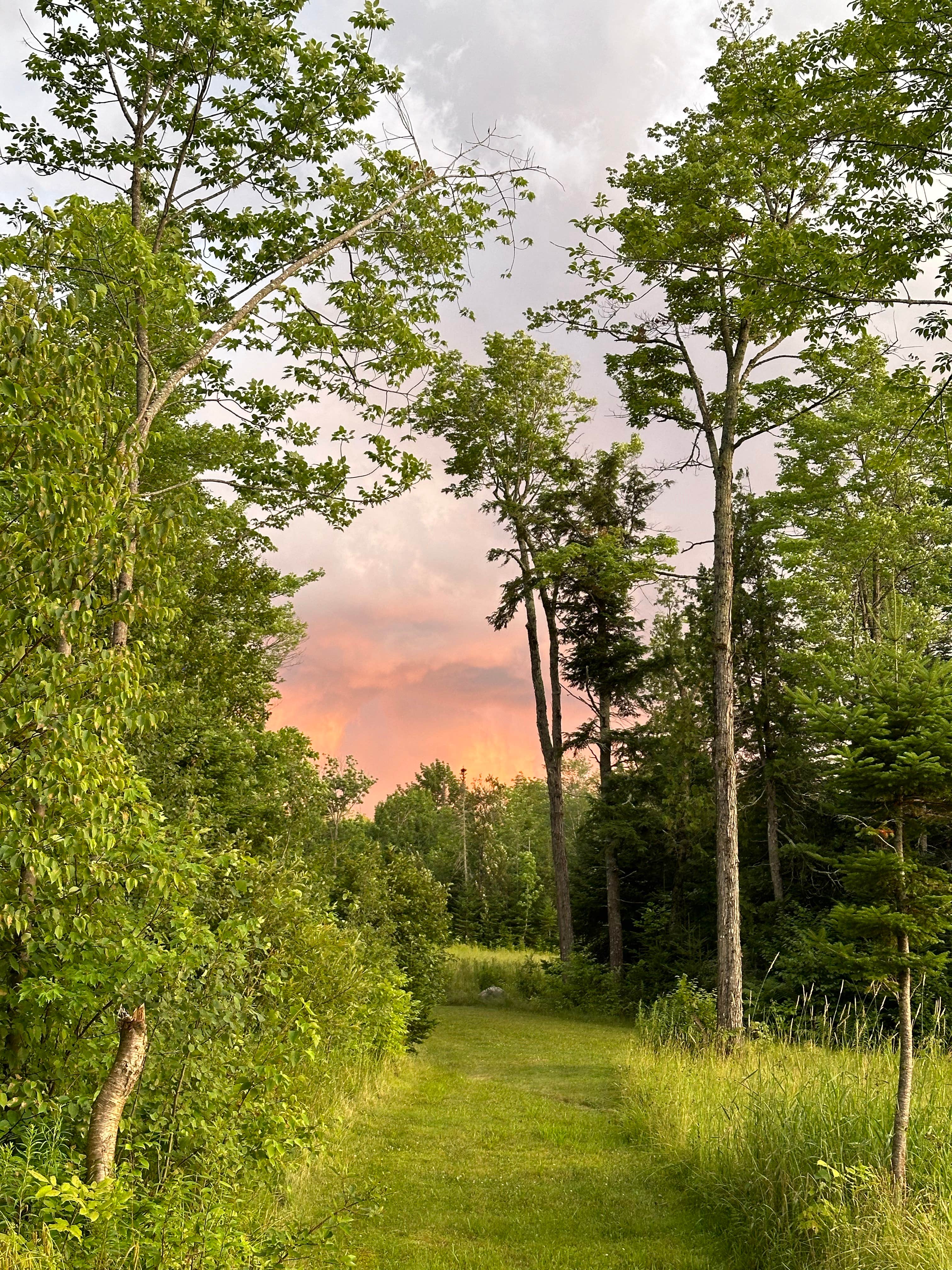 Camper submitted image from Alderbrook Camp Site - 5