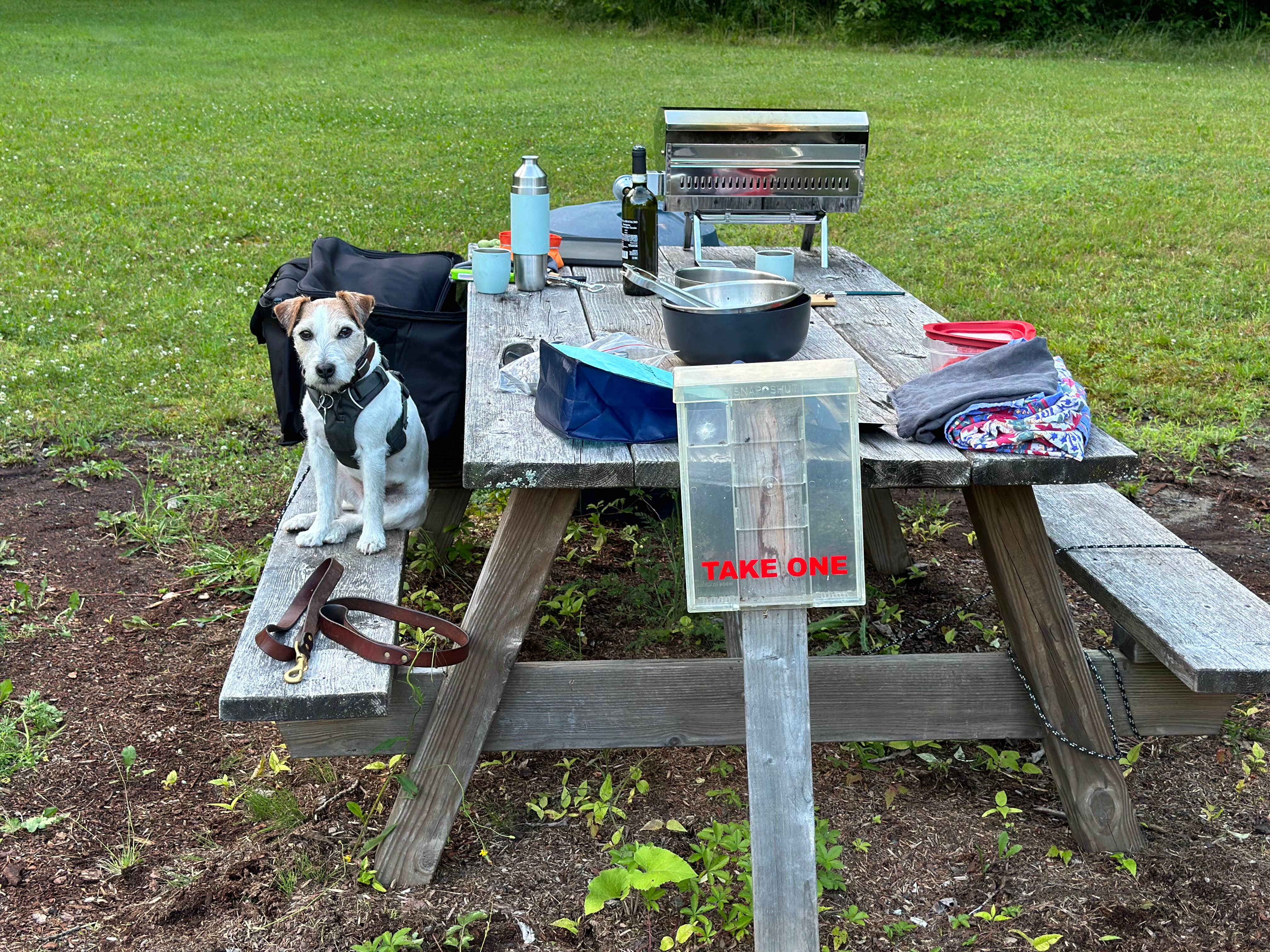Heather C.'s photo of camping with pets at Alderbrook Camp Site near Kingfield, ME