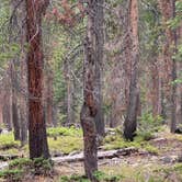 Review photo of Alexander Lake Backcountry by Heather L., August 2, 2025