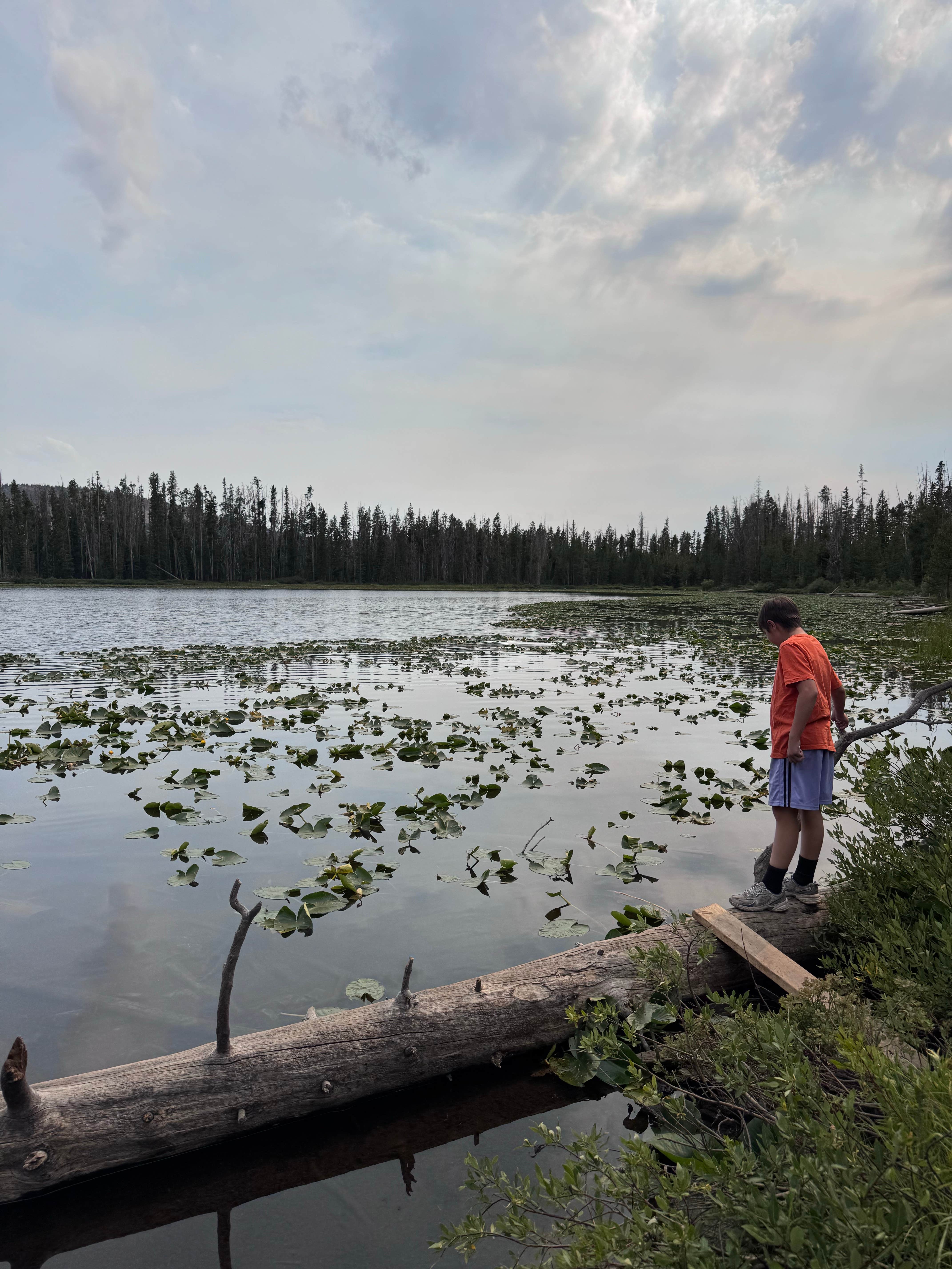 Camper-submitted photo at Alexander Lake Backcountry near Tabiona, UT