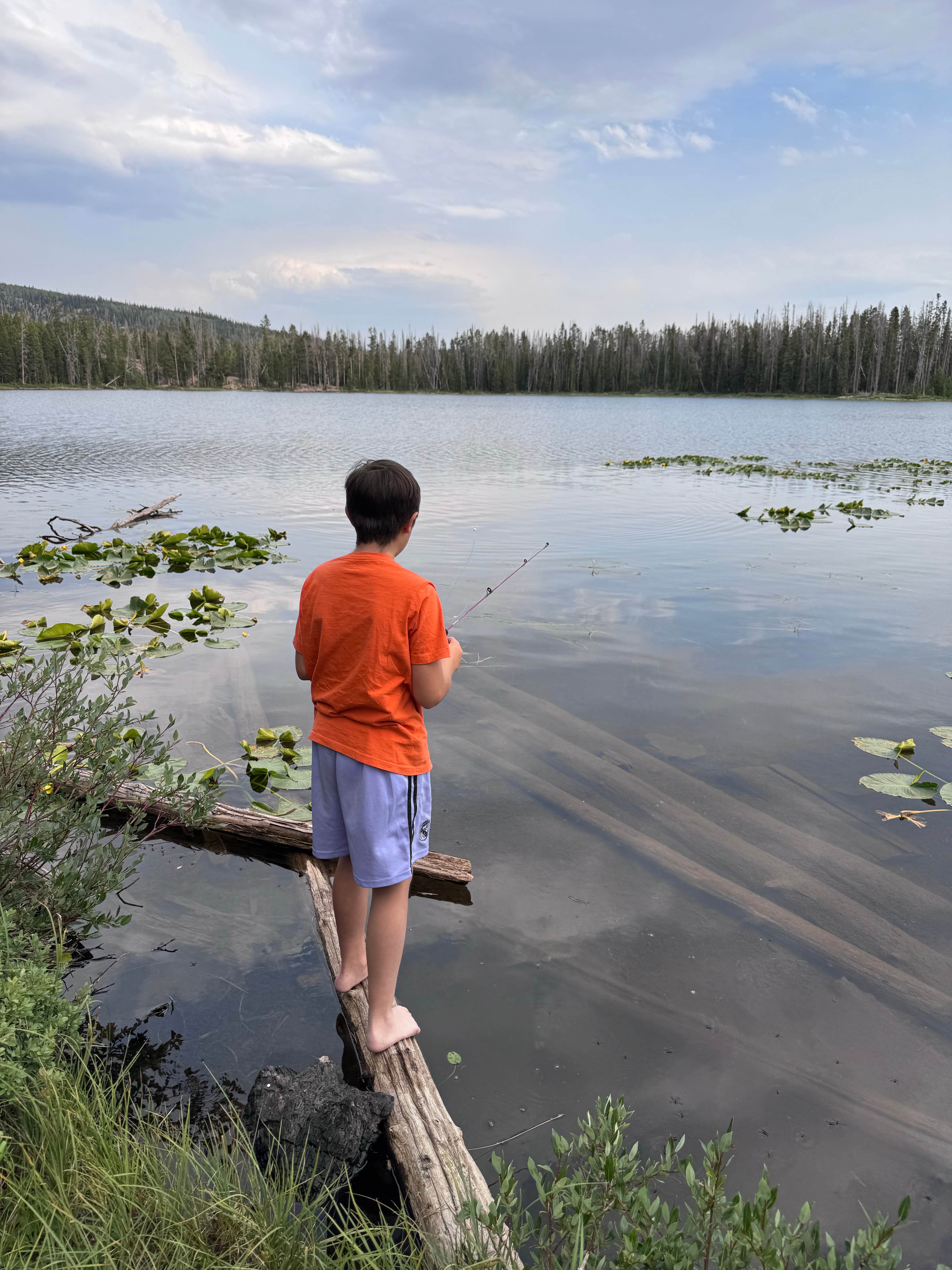 Camper-submitted photo at Alexander Lake Backcountry near Tabiona, UT