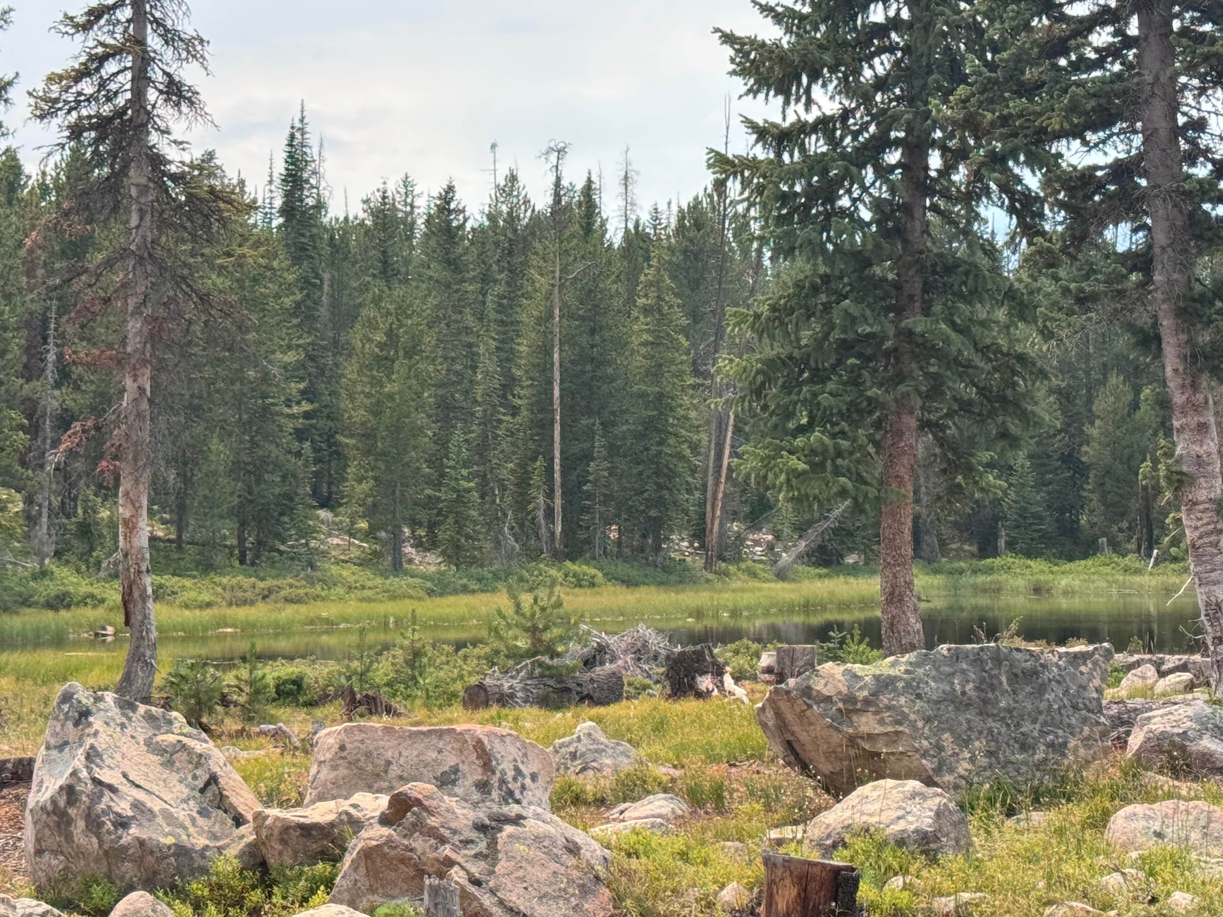 Camper-submitted photo at Alexander Lake Backcountry near Tabiona, UT