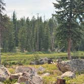 Review photo of Alexander Lake Backcountry by Heather L., August 2, 2025