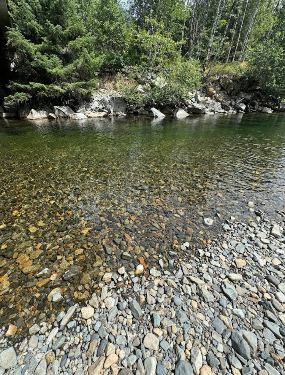 Camper submitted image from Alice Creek Campground - 4