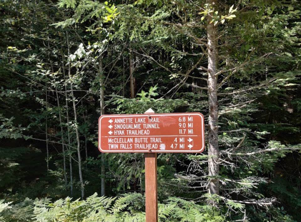 Camper submitted image from Alice Creek Campground - 5
