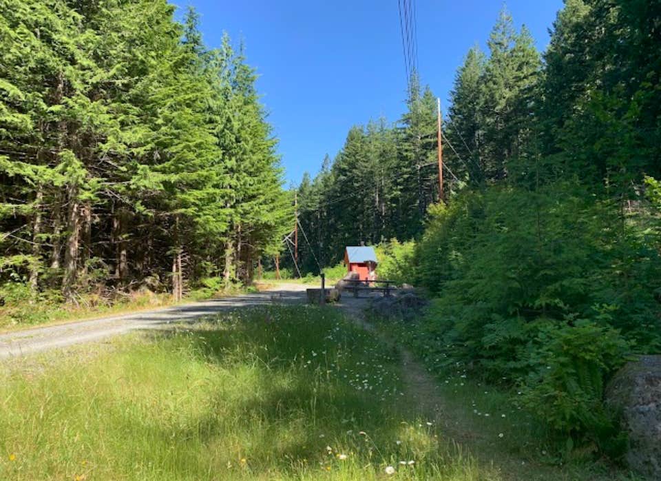 Camper submitted image from Alice Creek Campground - 2