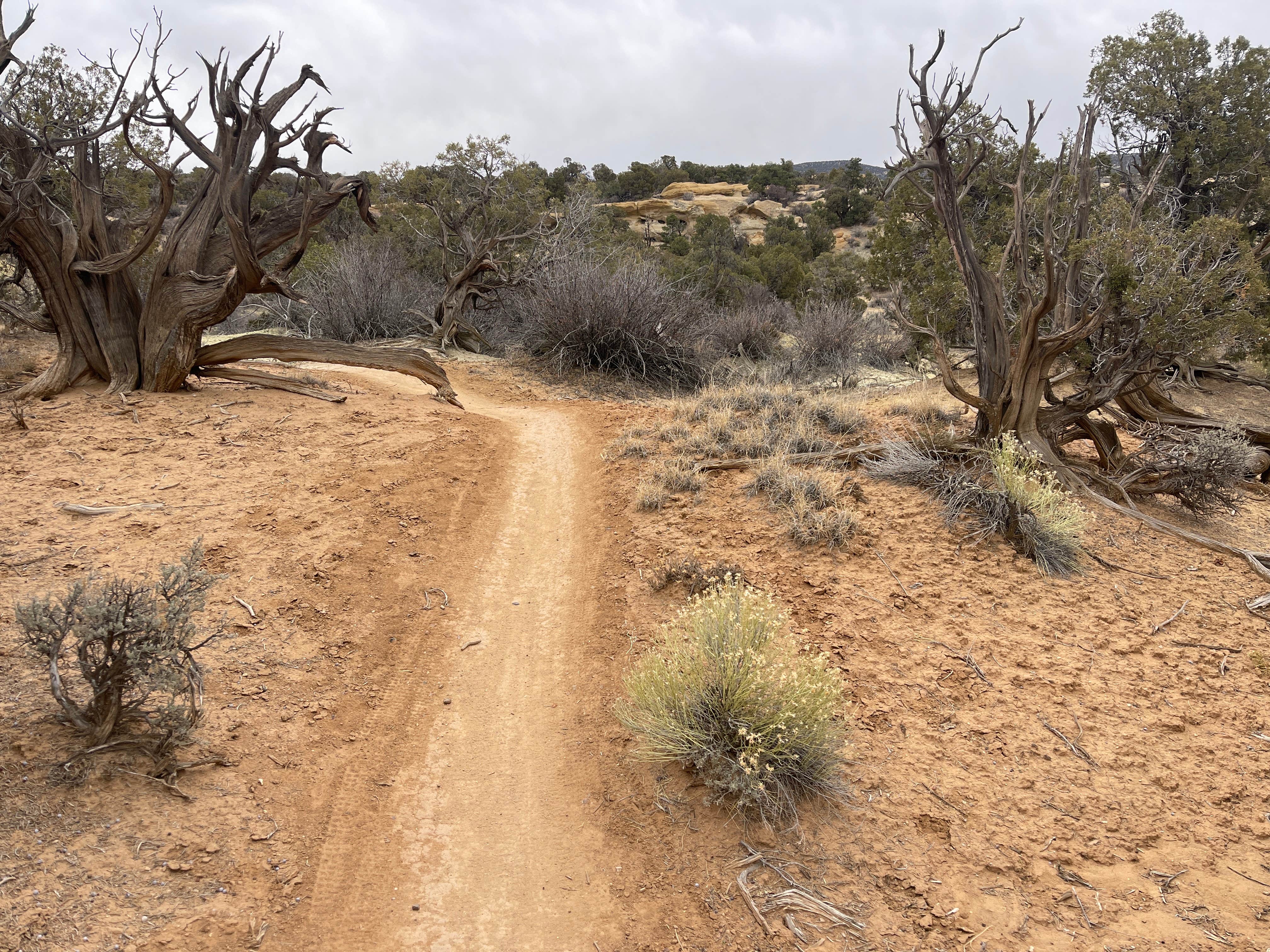 Camper-submitted photo at Alien Run Trailhead Basecamp near Aztec, NM