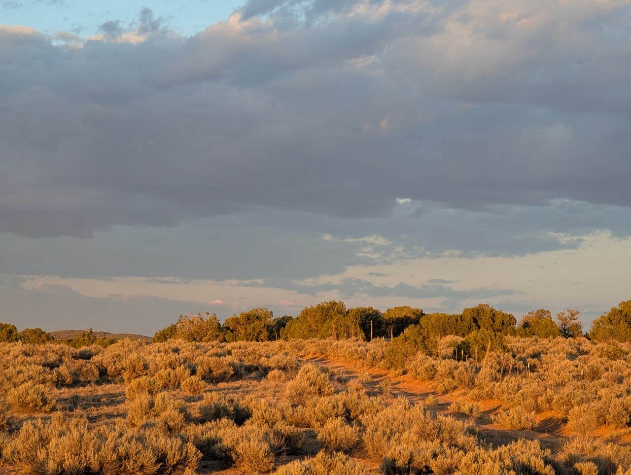 Camping near Navajo Dam Glamping Retreat Wild-u-can: Alien Run Trailhead Basecamp, Aztec, New Mexico