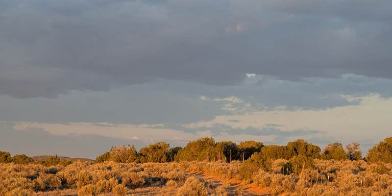 Camper submitted image from Alien Run Trailhead Basecamp