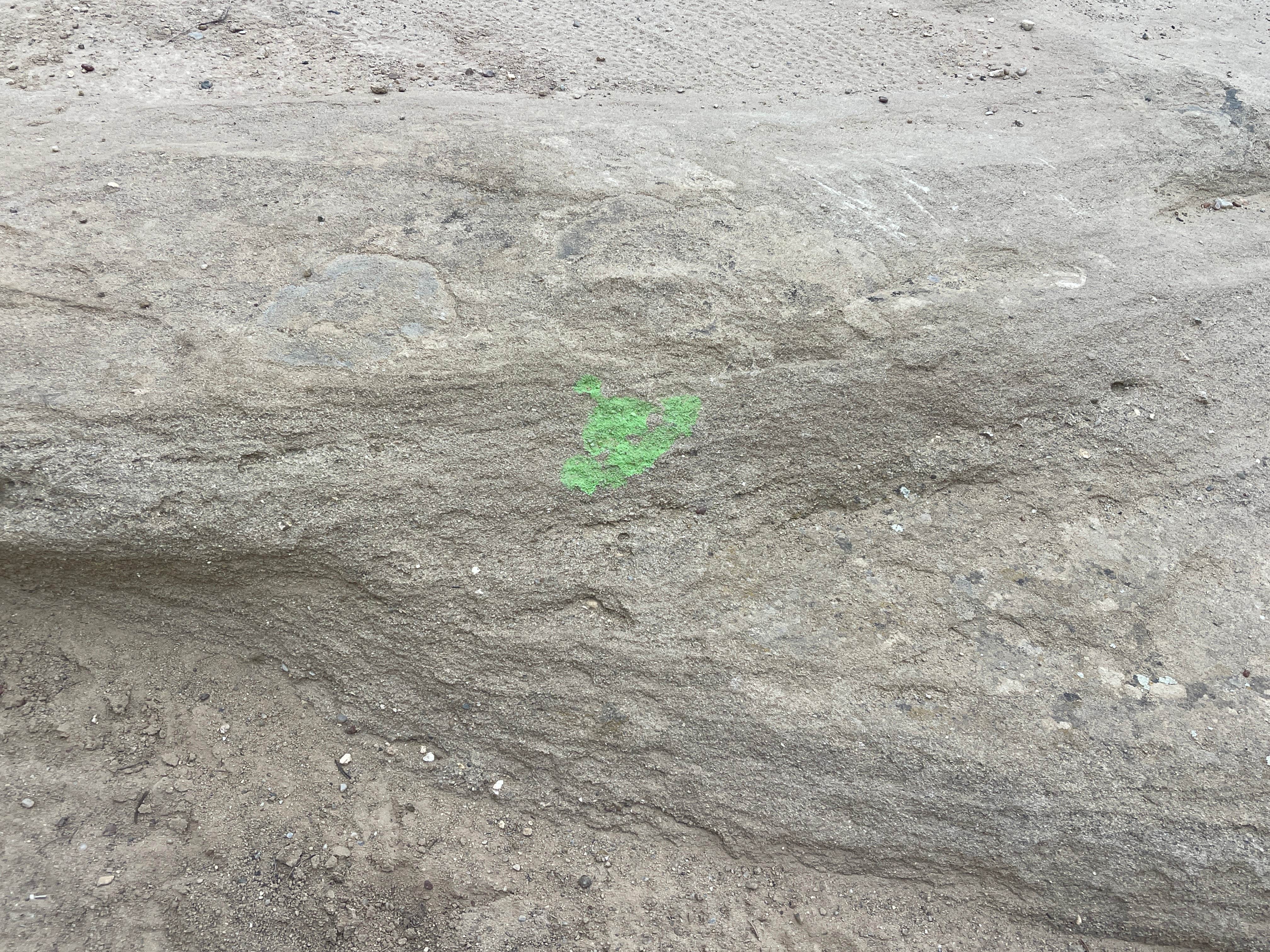 Camper-submitted photo at Alien Run Trailhead Basecamp near Aztec, NM