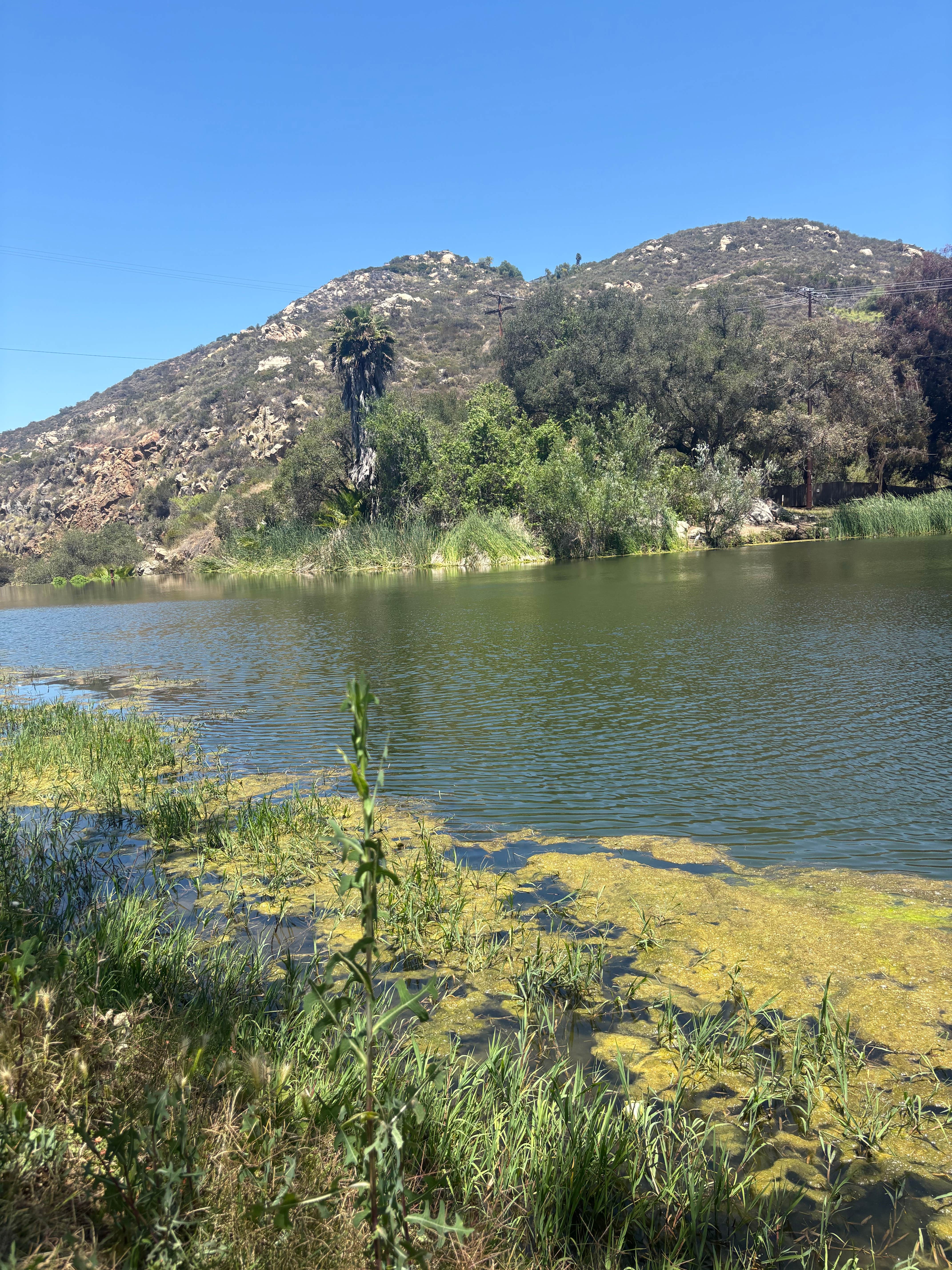 Camper-submitted photo at All Seasons RV Park & Campground near Oceanside, CA