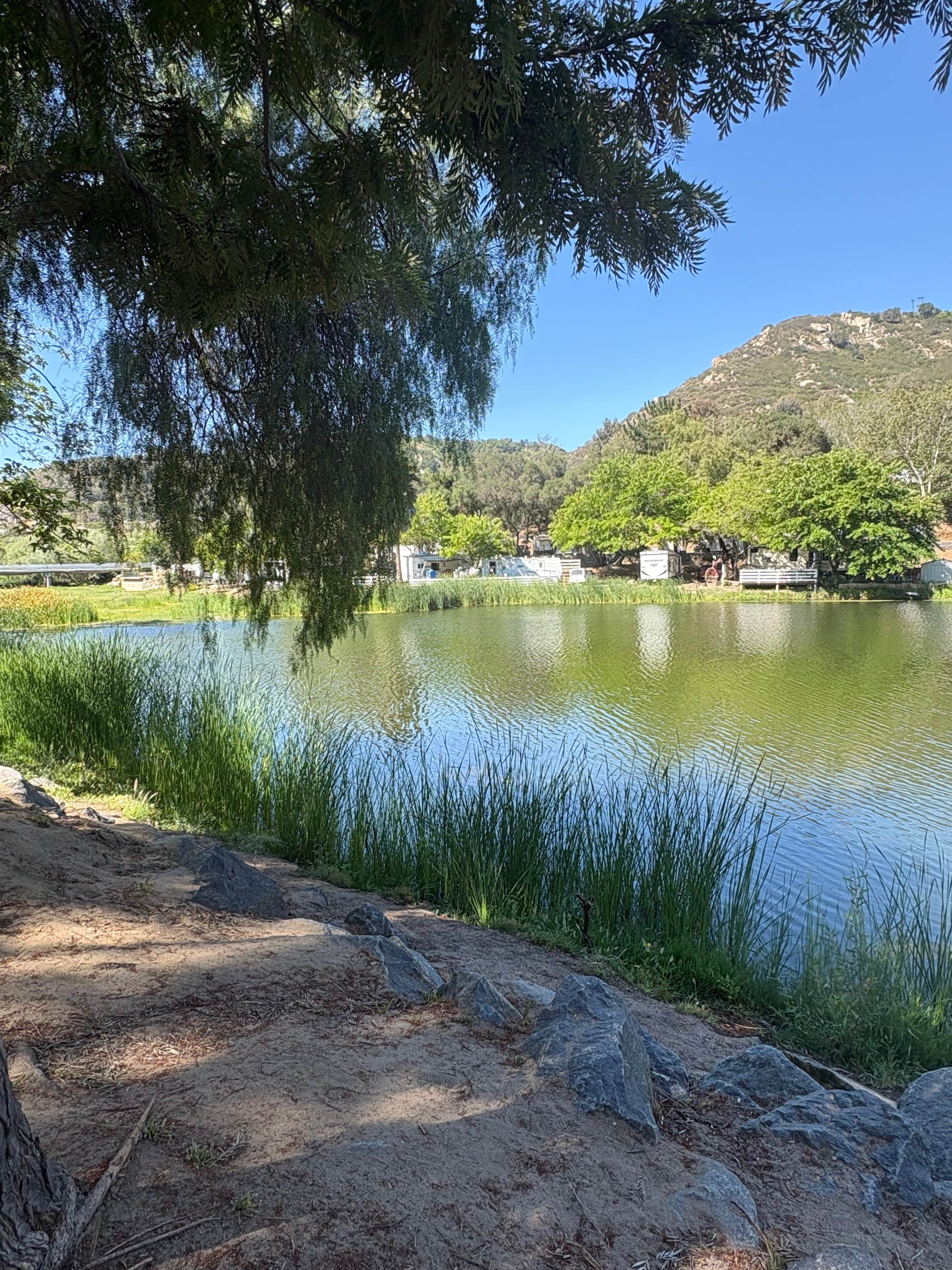 Camper-submitted photo at All Seasons RV Park & Campground near Oceanside, CA