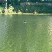 Review photo of All Seasons RV Park & Campground by joseph C., May 12, 2026