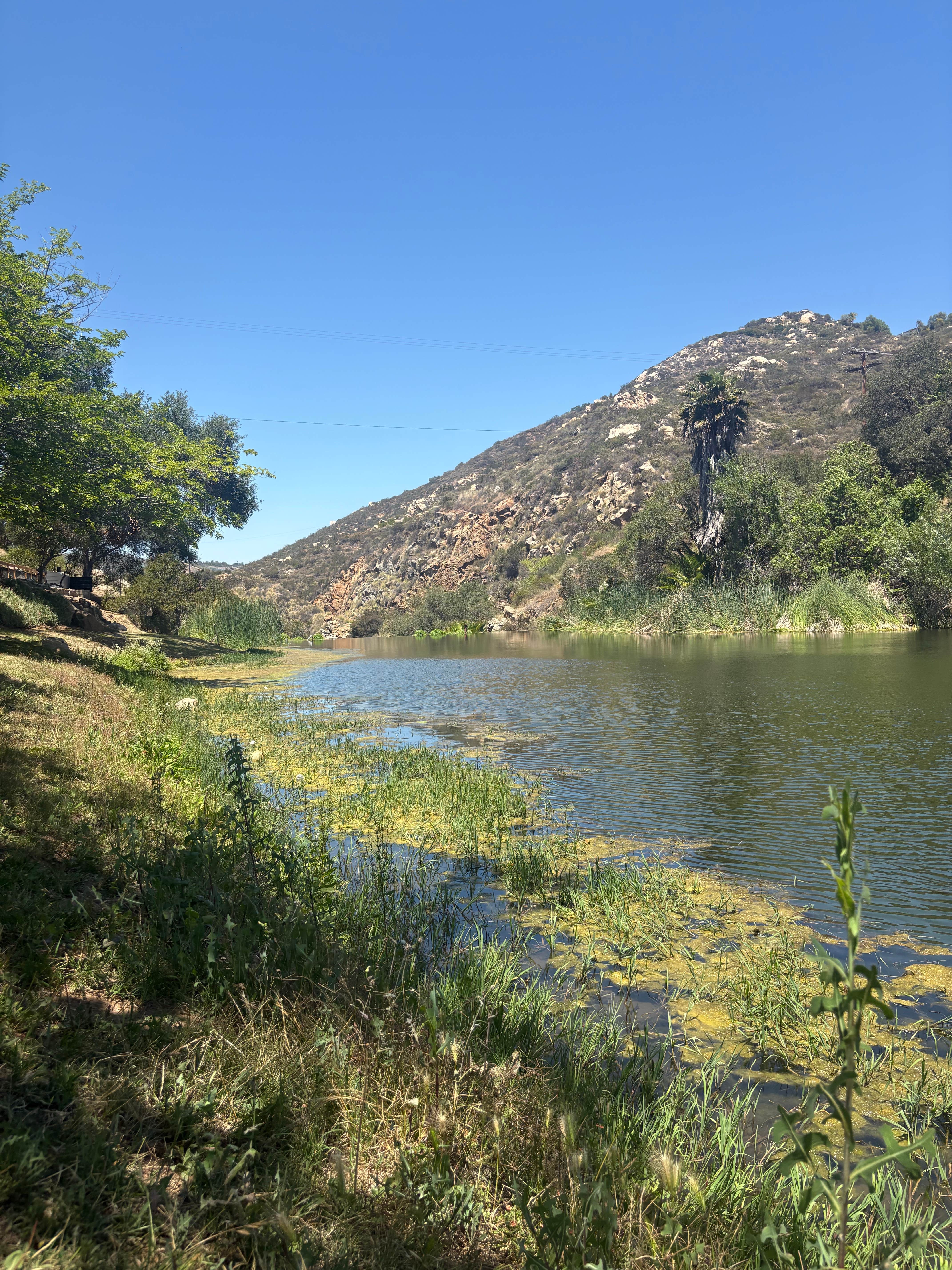 Camping near Guajome Regional Park: All Seasons RV Park & Campground, Vista, California