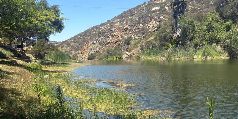 Camper submitted image from All Seasons RV Park & Campground