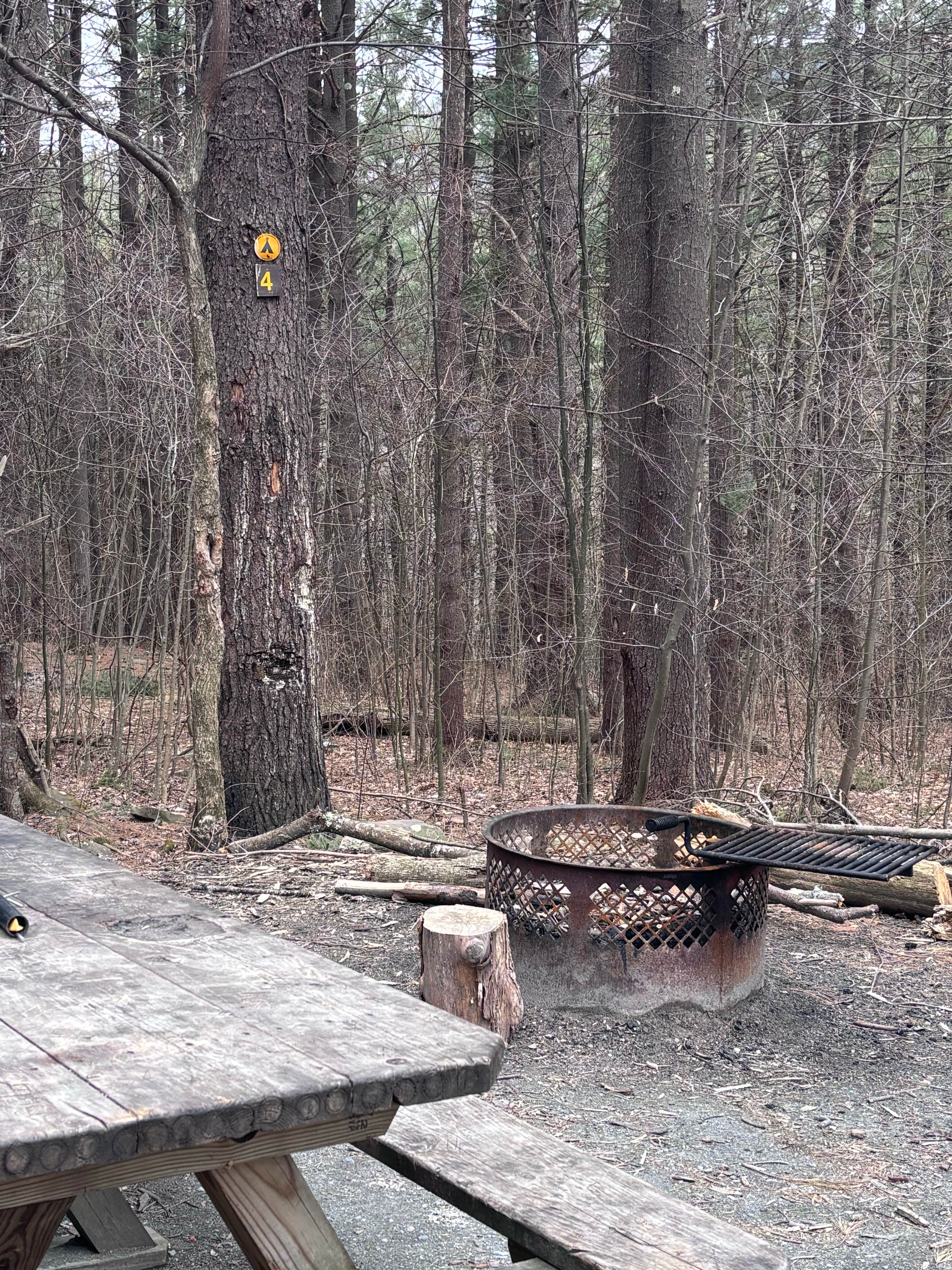 Camper-submitted photo at Allaben Primitive Campsites near Cornwall-on-Hudson, NY