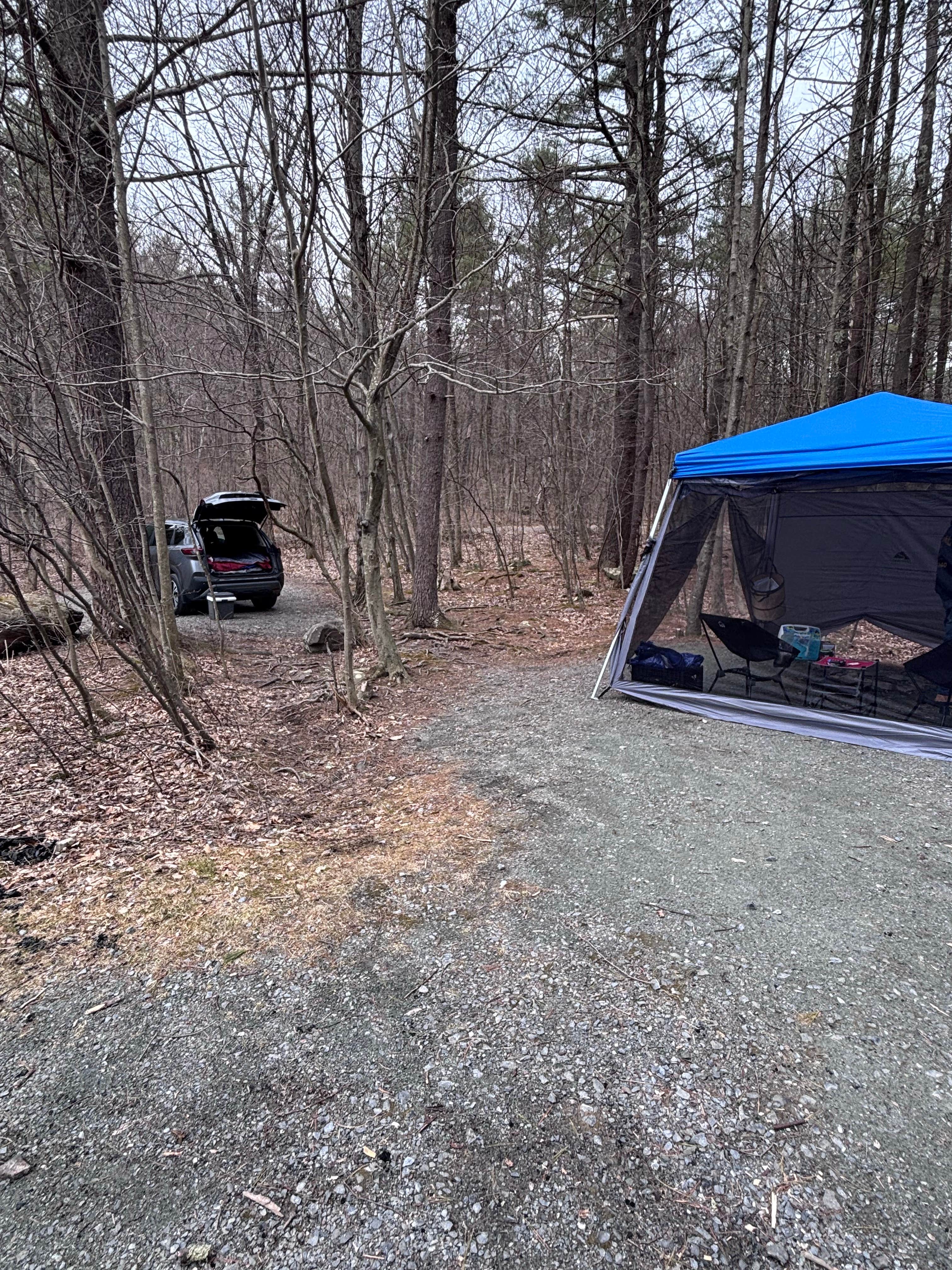 Breanne H.'s photo of a dispersed camping area at Allaben Primitive Campsites near Cornwall-on-Hudson, NY